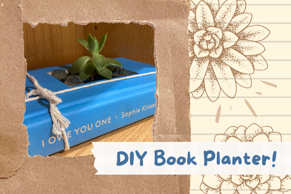 Image shows a brown paper frame that has a photo of a succulent planted within a carved out book. Next to the frame are ruled lines and illustrated succulents sketched over them. An image of tape stretches across the bottom right corner and in a handwritt