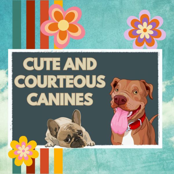 Image for event: Cute and Courteous Canines