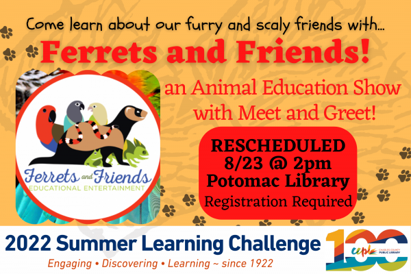 Image for event: Ferrets &amp; Friends: Animal Education Show &amp; Meet and Greet!