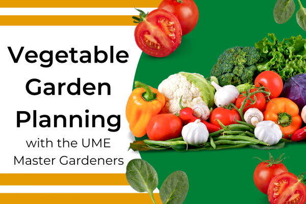 Image for event: Vegetable Garden Planning
