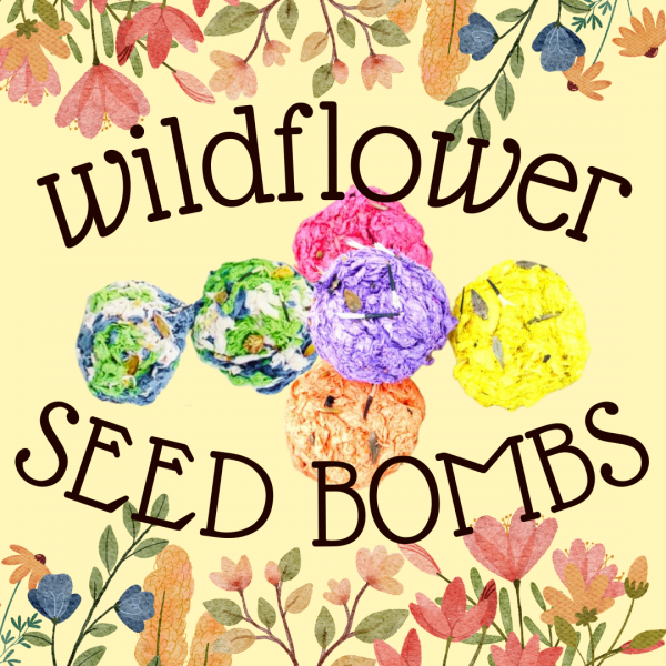 Image for event: Wildflower Seed Bombs 