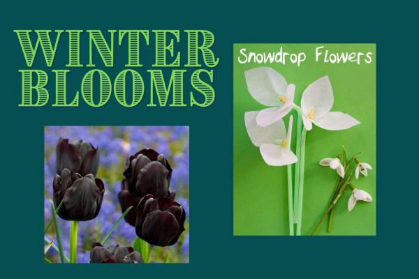 Image for event: Winter Blooms 